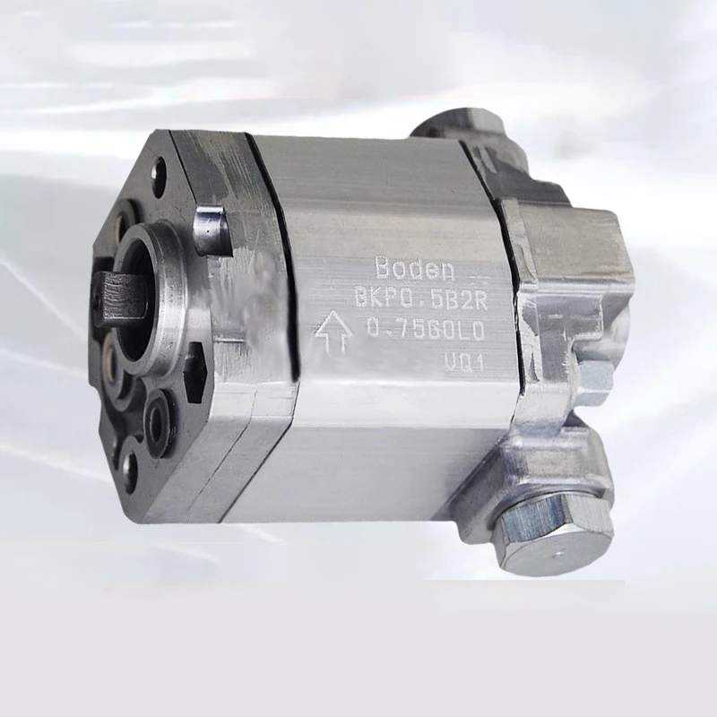 

Bidirectional Gear Pump BKP0.5B2R0.75/R0.65/R1.5/R1.7GOLO-VQ1 Pump