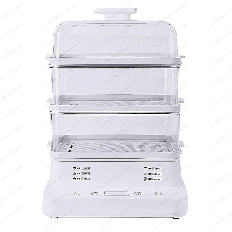 Electric steamer voltage electric steamer electric steamer