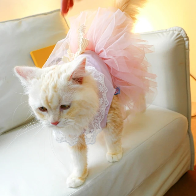 Cat Dog Wedding Dress, Dog Blossom Dress, Dog Flower Tutu, order Dog Birthday Outfit, Dog Princess Costume, Kitten Puppy Pet Clothes Customized