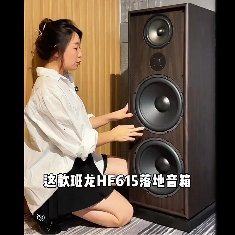 

Акустическая система Hi-Fi Balenald HF615: высококачественные напольные колонки для дома и гостиной с двумя 12-дюймовыми динамиками