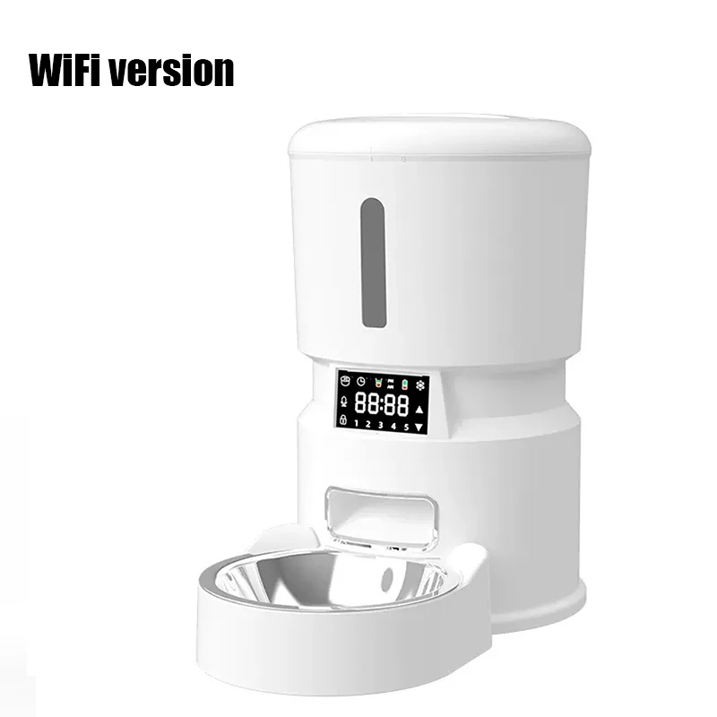 Intelligent Cat And… - image