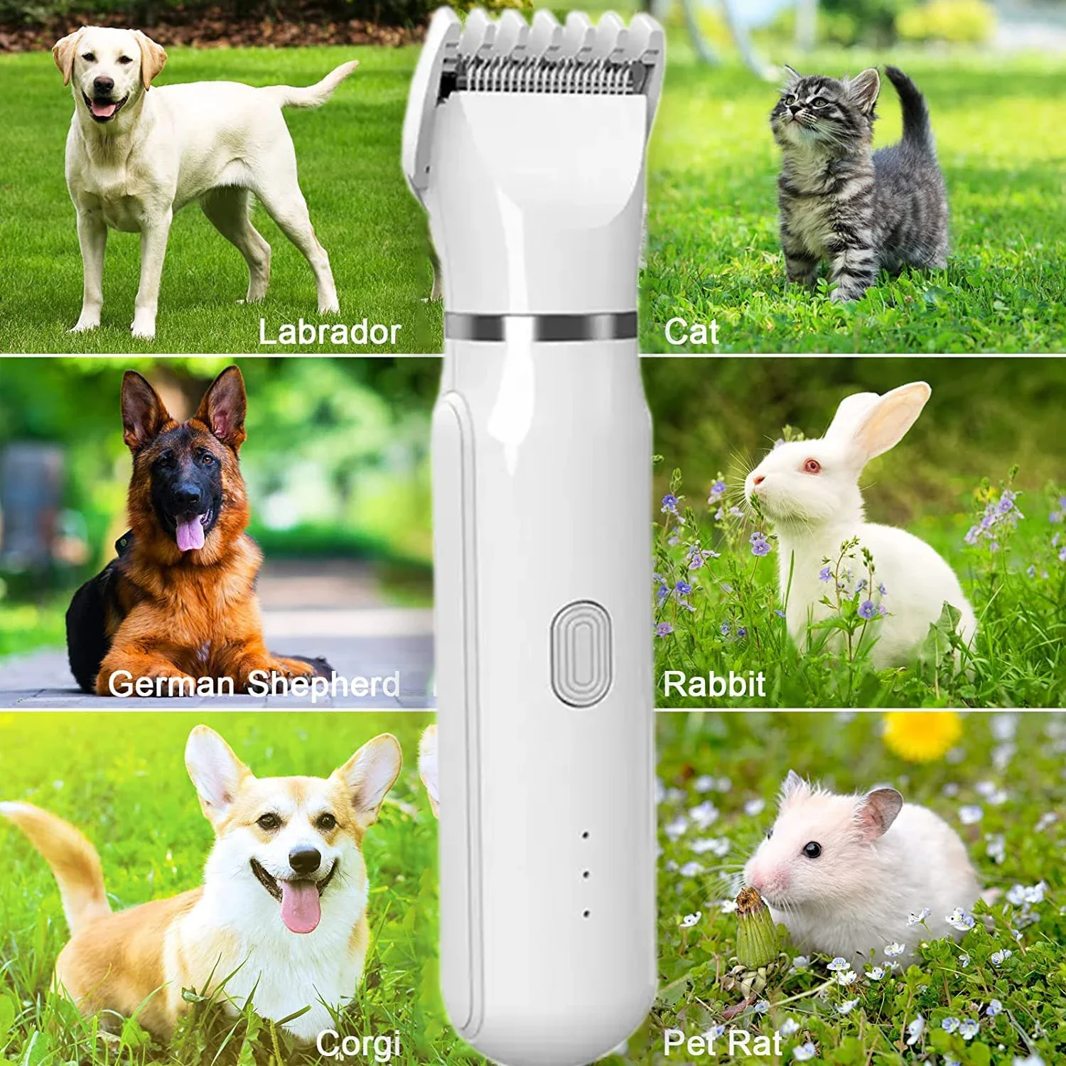 Pet Electric Grooming And Care Set 4-Different Blades Paw Trimmer Clippers for Dogs Cat Grooming Paws Ears Face Matted Hair