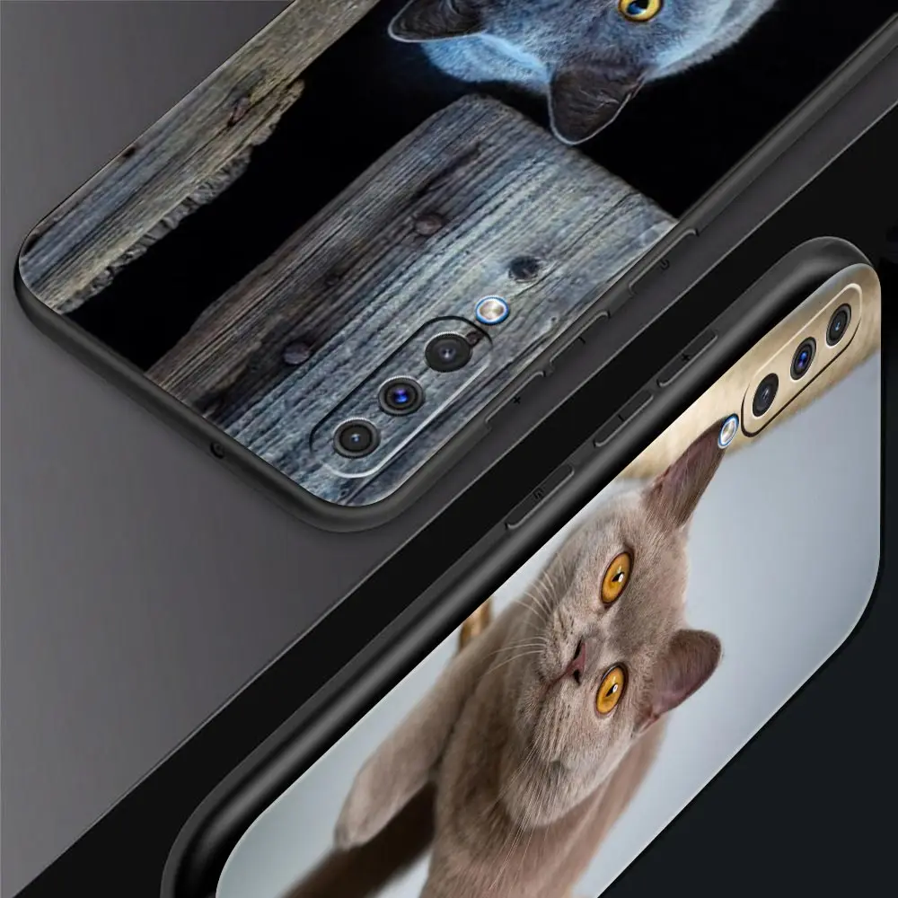 British shorthair cat Phone Case For Samsung Galaxy A52 A14 A50 A70 A30 A40 A20S A20E A02S A12 A22 A34 A42 A32 5G A54 A04s Cover