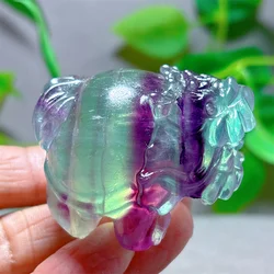 Rainbow Fluorite Dragon Turtle Crystal Natural Stone Quartz Stone Minerals Home Decoration Reiki Craft Carved Energy Healing