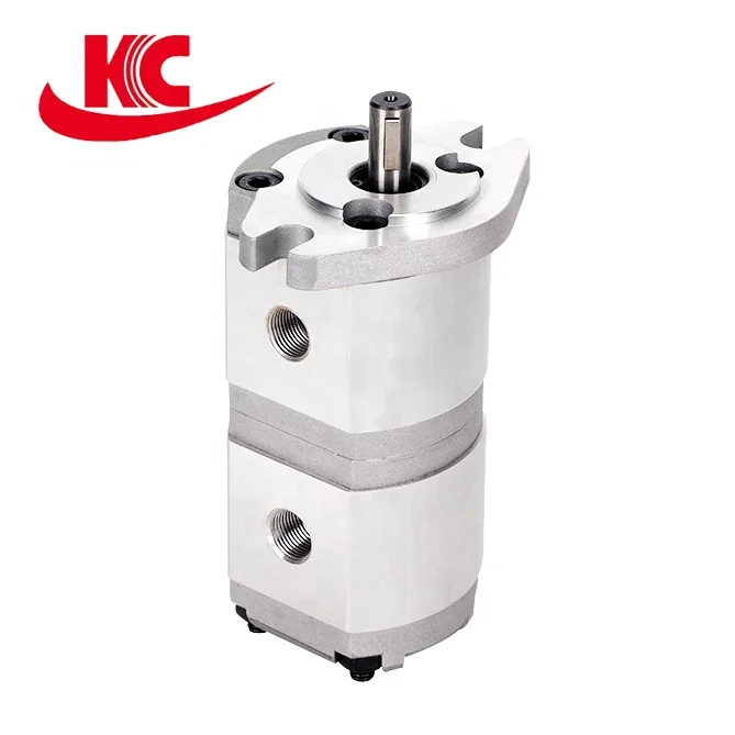 small oil transportation String gear pump mini double hydraulic pump manufacturer direct sales