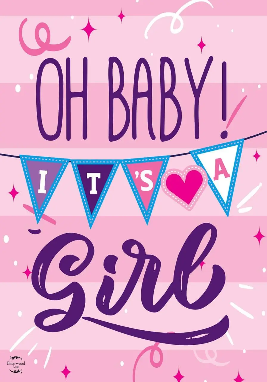 Baby Girl Double-Sided Garden Flag Shower Birth 12.5