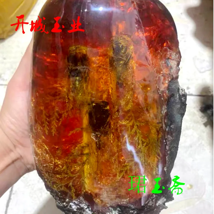 Amber insect ornaments real insect specimens round stump living room decoration crafts  teaching tools wenwan