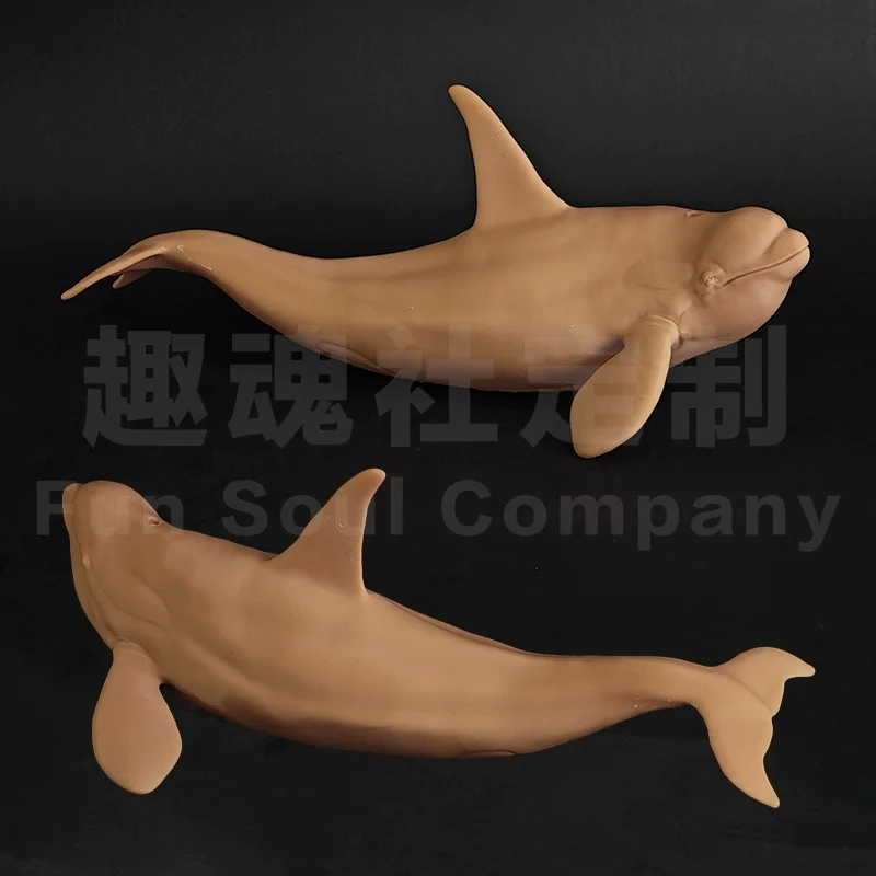 

1/35 22.8cm Orcinus orca Model Toys Ancient Prehistroy Animal Model Gk Customize 3D Printing