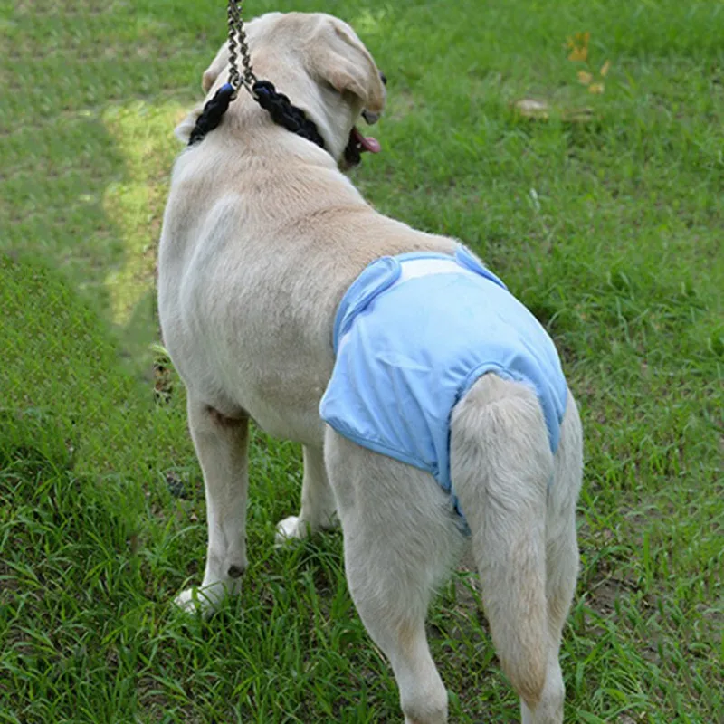 Dog Physiological Pants Strong Water Absorption Dog Diaper Female and Male Dogs Panties Pet Anti-harassment Estrus Pantie Diaper