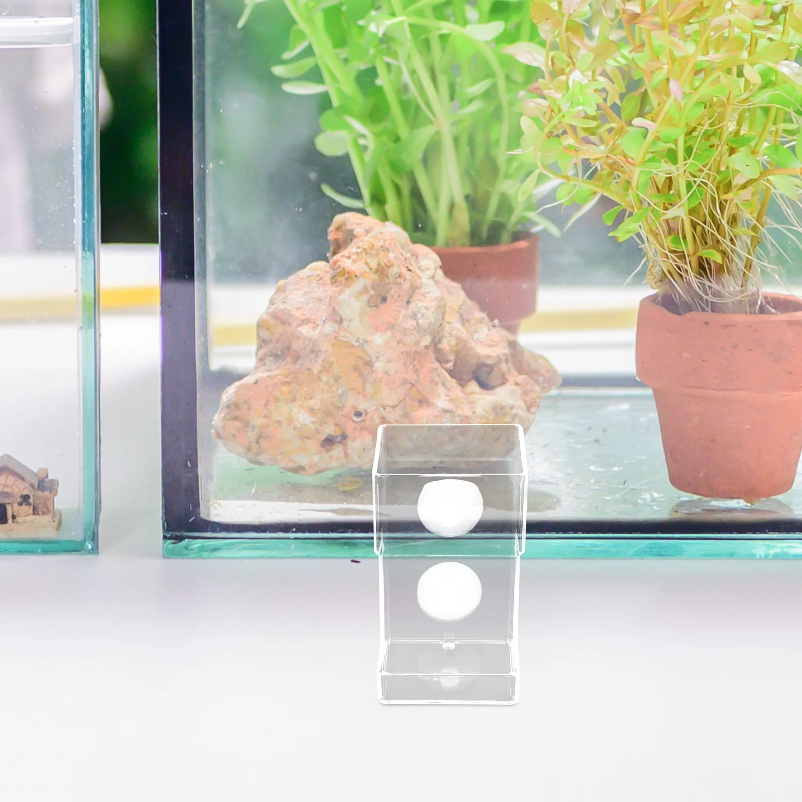 

Aquarium Fish Feeder Tubes Floating Tray Acrylic Automatic Feeder Fish Tank Food Station Suction Cup Shrimp Worm Dish