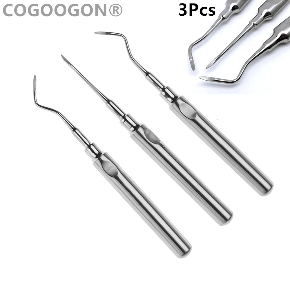 3Pcs Dental Tools Teeth Extraction Tooth Extracting Forceps Curved Root Lift Elevator Stainless Steel