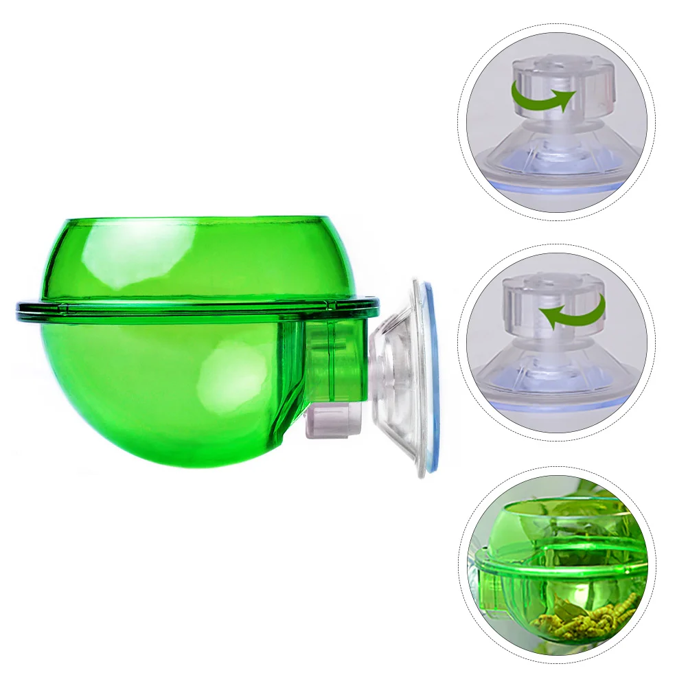 4 Pcs Beverage Container Climbing Pet Food Bowl Reptile with Suction Cup Feeder