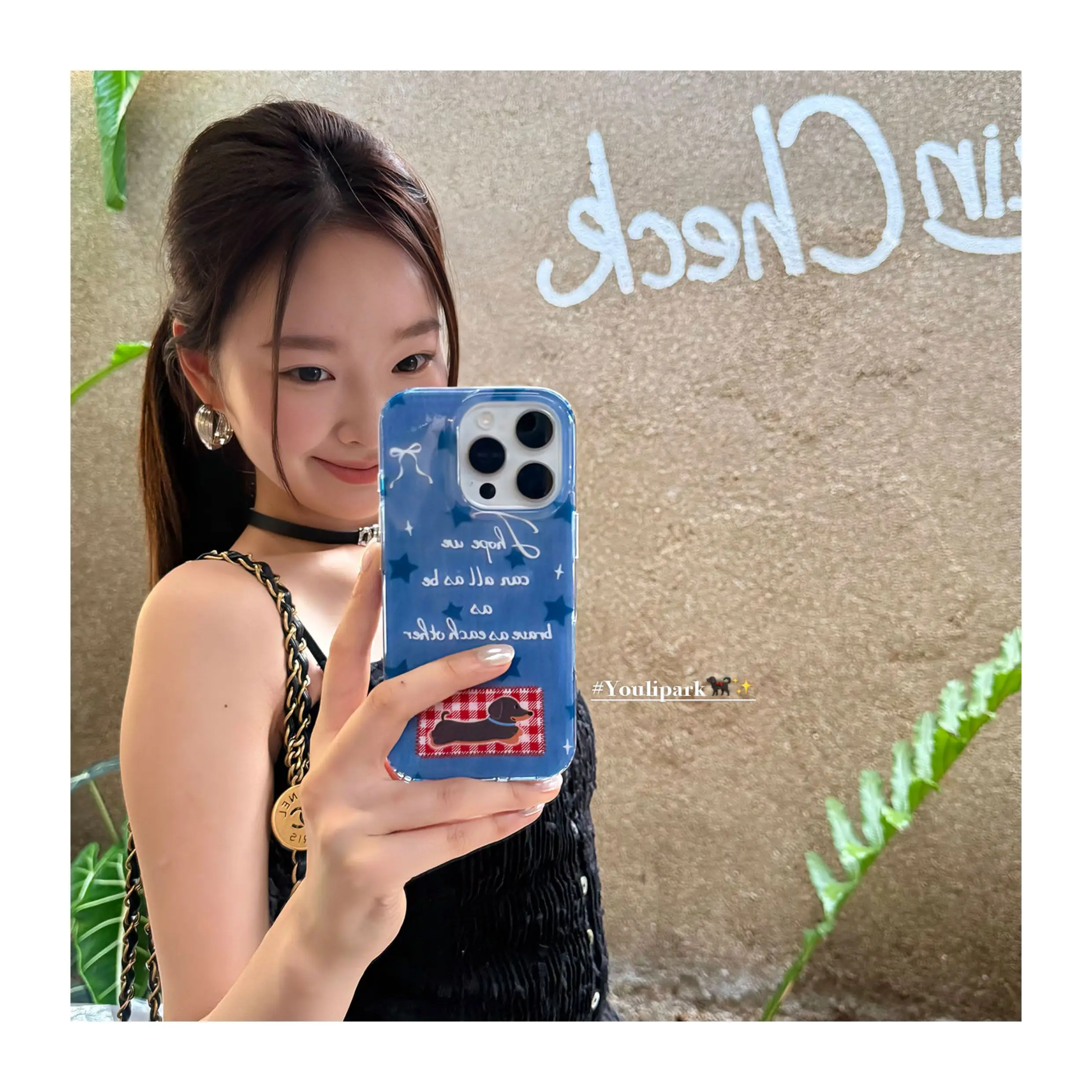 Чехол для телефона Ins Cute Retro Cowboy Blue Star Sausage Dog с рисунком для iPhone 17, AIR 16, 15, 14, 13, 12, 11 Pro Max Y2K, прозрачный черный чехол