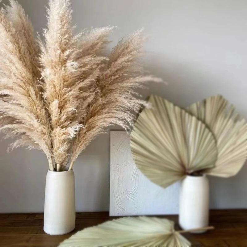 80cm Large Natural Dried Pampas Bouquet, Dry Fluffy Beige Pampas Decoration Vase Botanical Boho Home Wedding Party Decoration