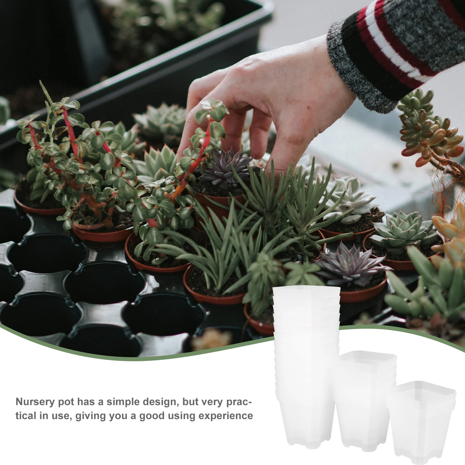 

20Pcs Succulent Plant Pots Plastic Nursery Containers with Drainage Holes for Home Garden Indoor Outdoor Flower Planting Starter