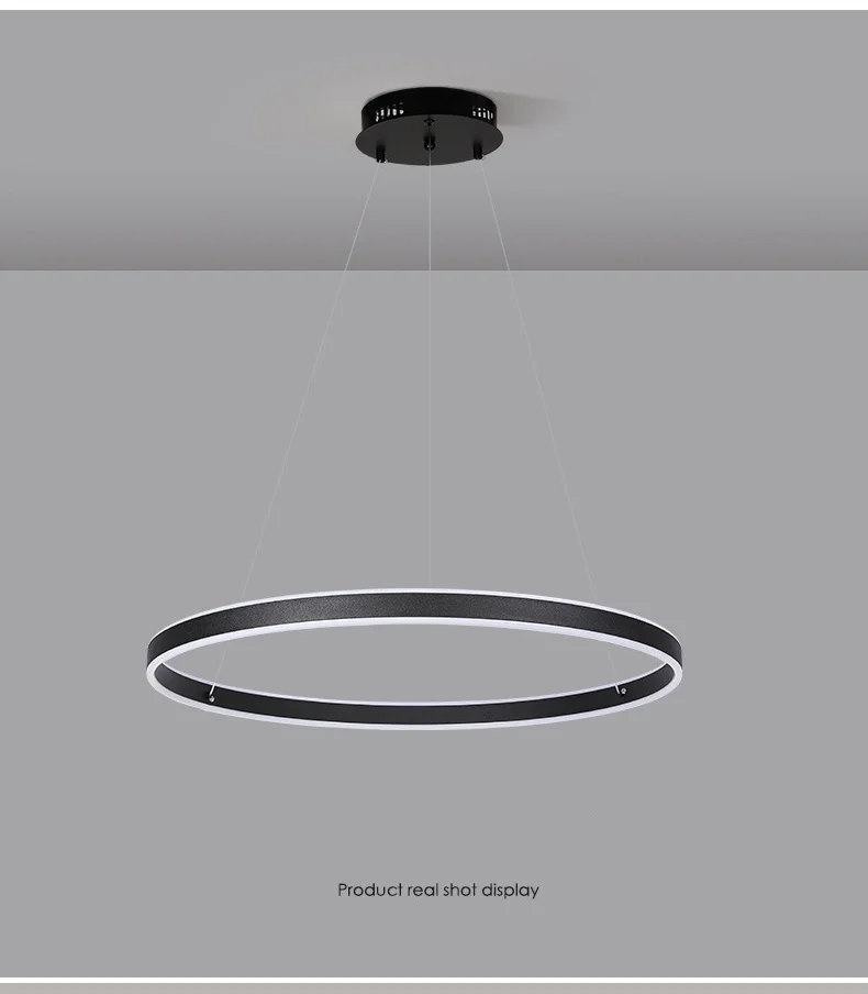 Minimalism Circle LED Ceiling Chandelier