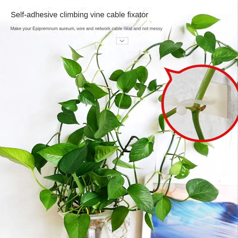 10pcs Self-adhesive Cable Clamp Holder Desk Wire Organizer Invisible Plant Support Clip Vine Climbing Wall Fixer Sticky Hook