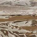 Desert tiger striped