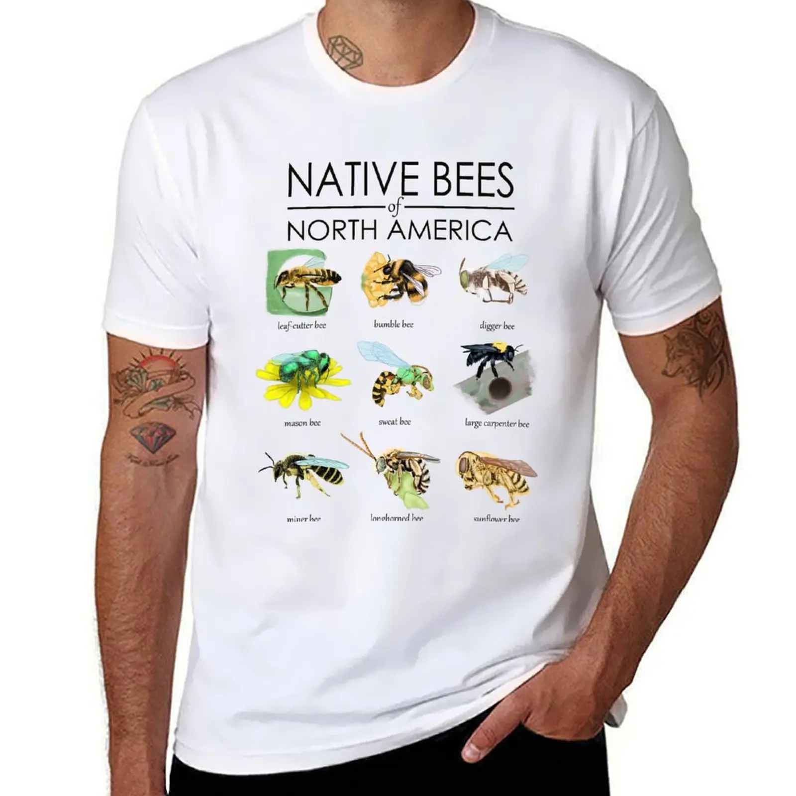 

native bees of north america T-Shirt anime t shirts oversize anime tshirt black cotton t-shirt plain for man package T-shirt