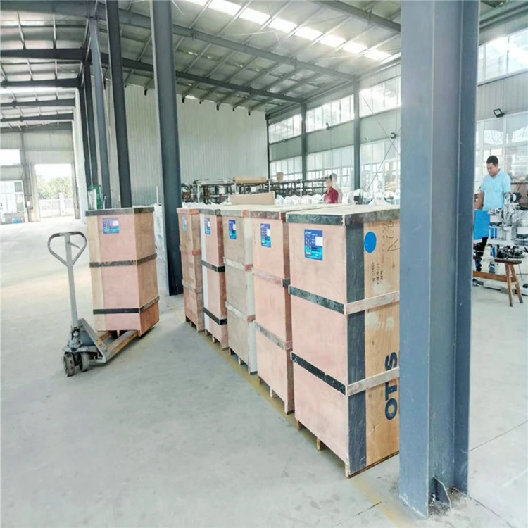 Plastic Bag Hole Automatic Eyelet Punching Machine