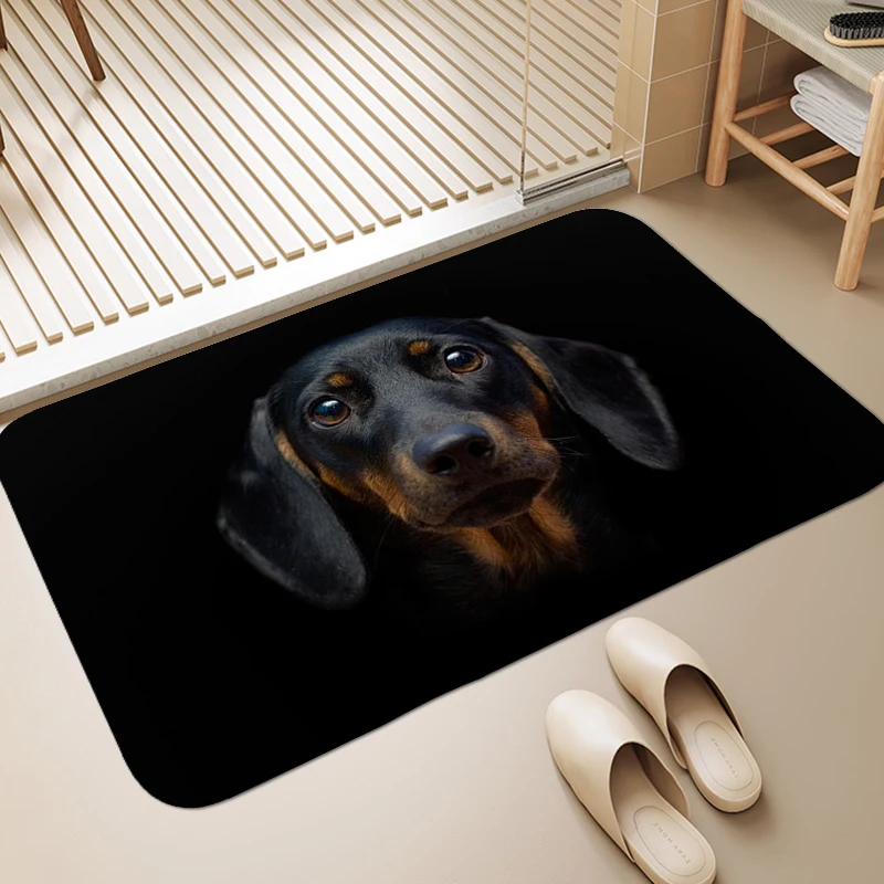 Digital Print Dachshund Dog Non-slip Foot Mat Carpet for Bedroom Washable Non-slip Kitchen Rug Entrance Door Doormat Bathmat