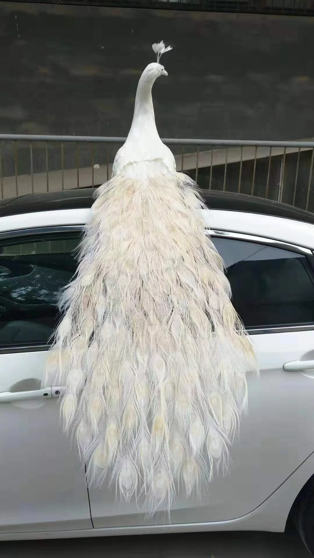 

long tail simulation foam&feather white peacock model toy gift doll about 150cm w2405