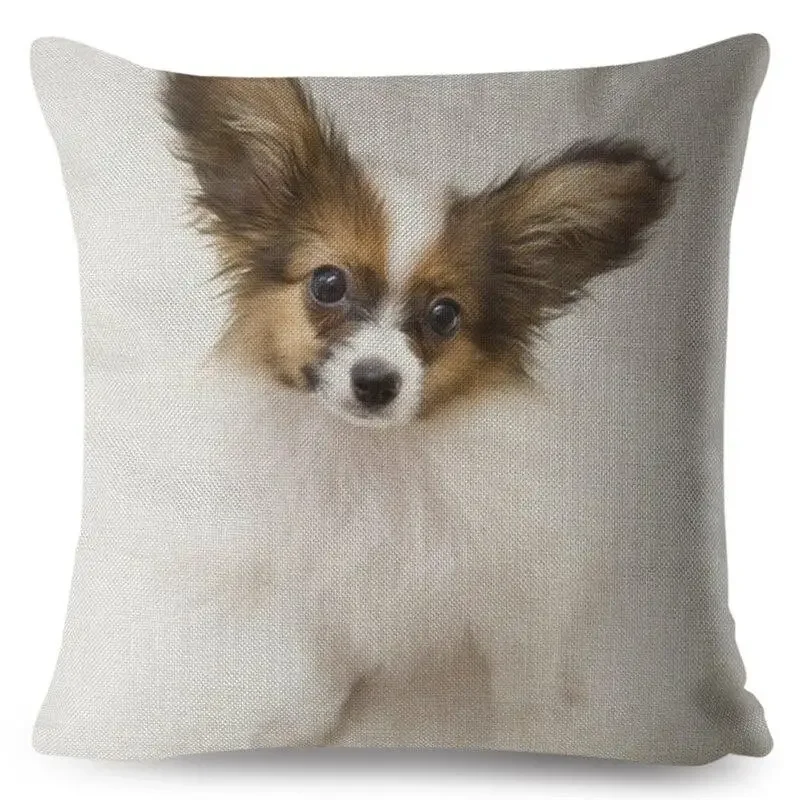 Cute Spanish Papillon Dog Pillowcase Square Cushion Cover Pillowcase Car Sofa Home Decor Pet Pillowcase