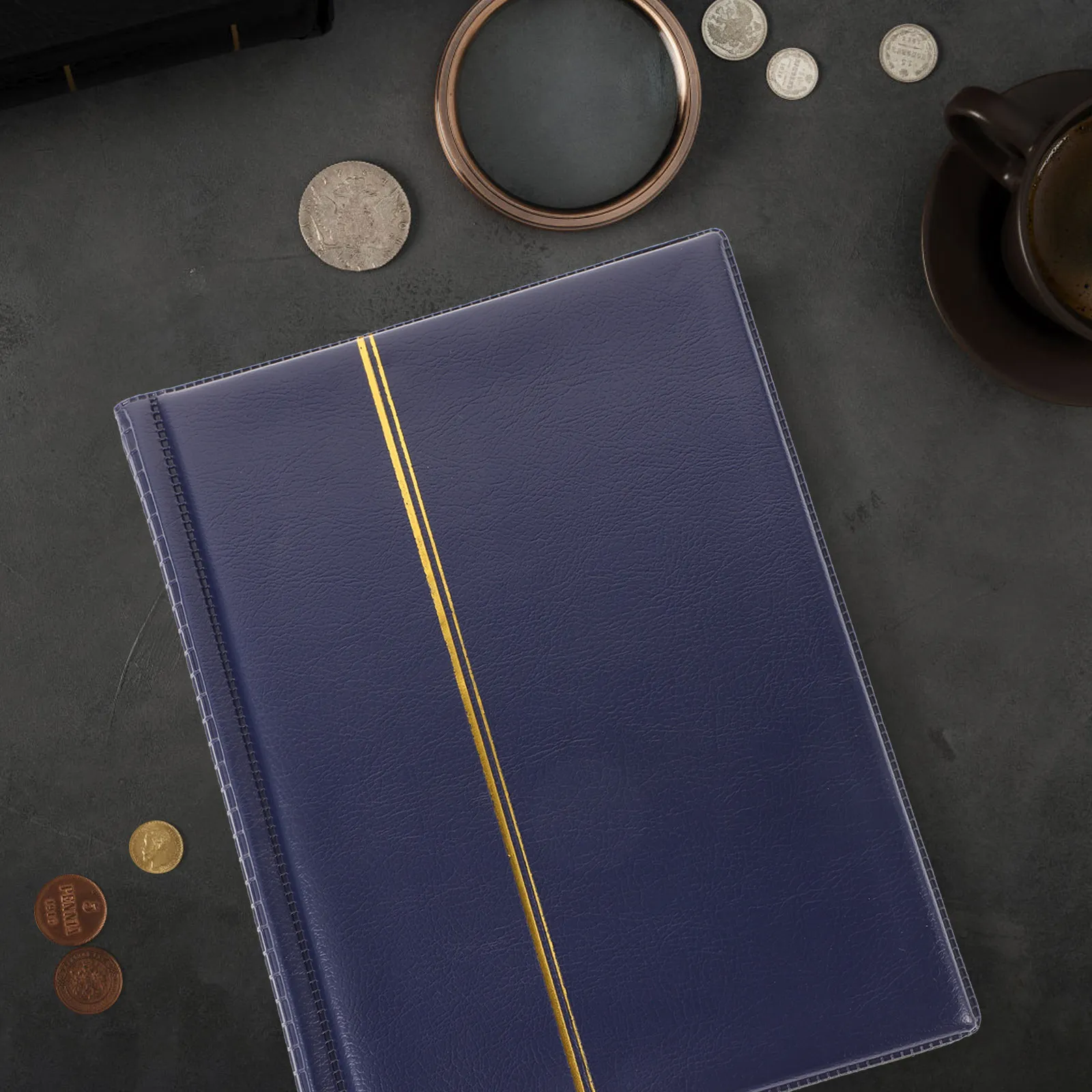 Coin Album for Collectors – 10-Page Transparent Organizer, 250-Coin Capacity, 35mm & 28mm Slots, Gift Idea
