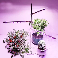 Luz LED de cultivo para plantas de interior, lámpara de espectro completo de 4000K, roja y azul, con temporizador para plantas hidropónicas