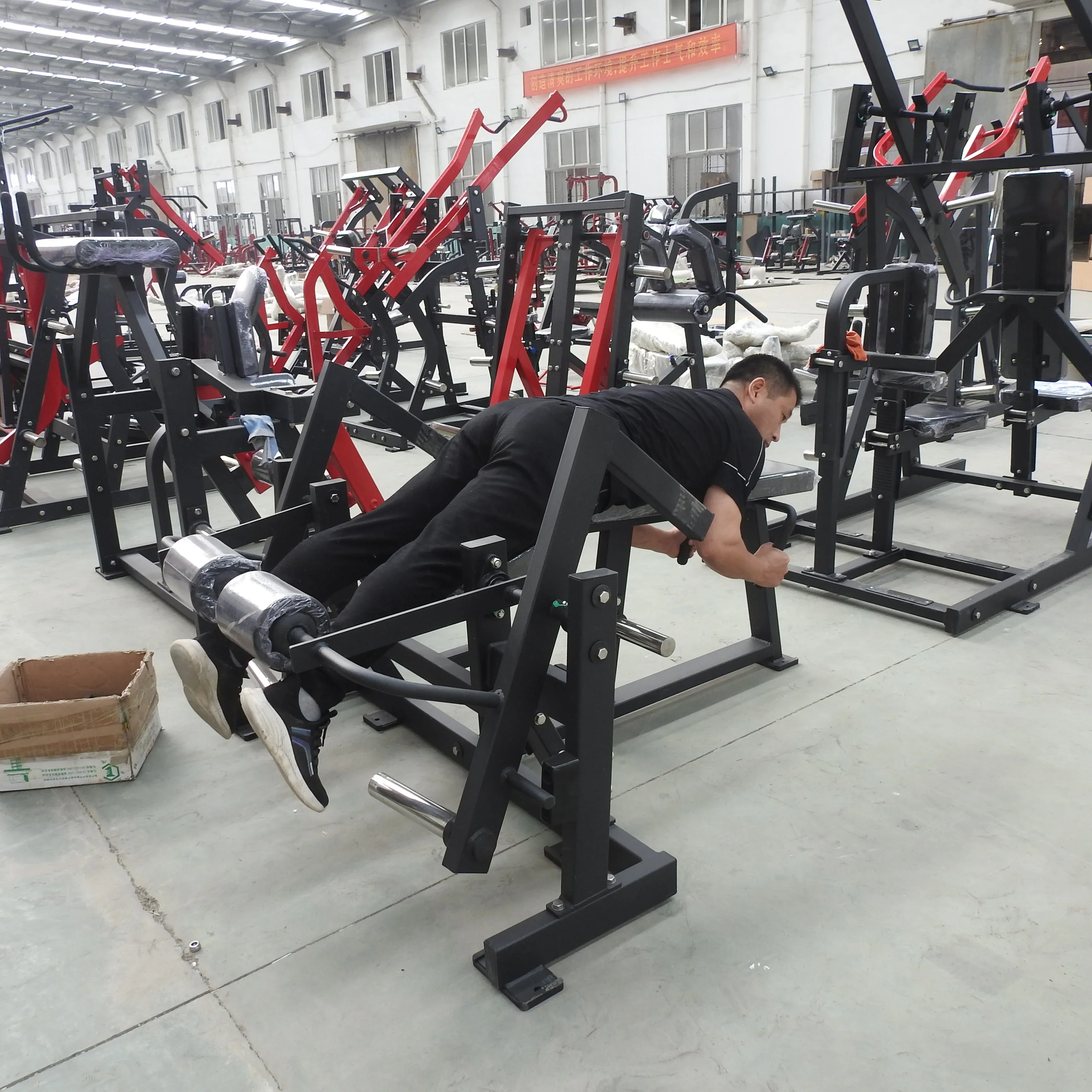 

Gym Fitness Club Strength Training Leg Curl Training Machine