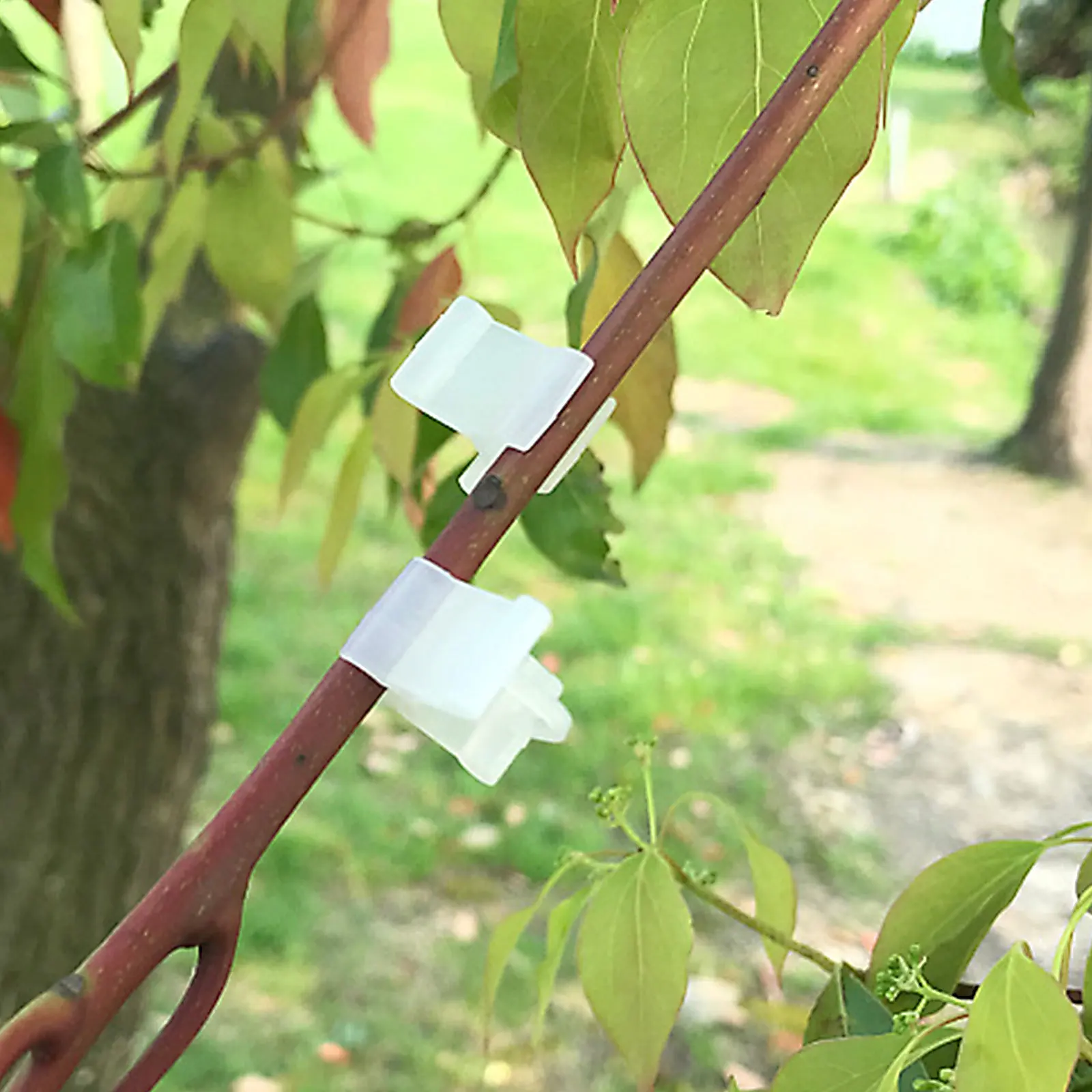 

200Pcs Plant Grafting Clamps Nursery Clips for Stem Vine Support Garden Flower Straightening Clip Plant Clip Gardening Tool