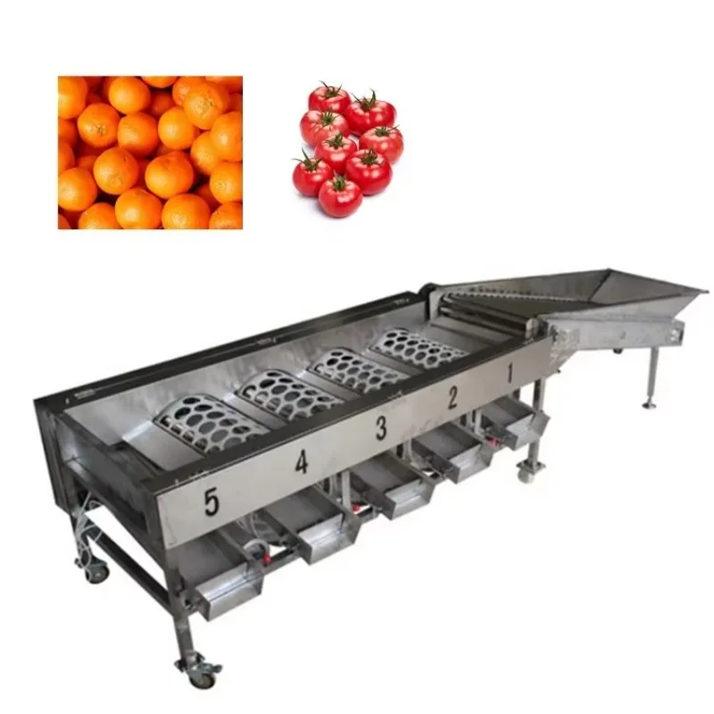Clasificador Automático de Cerezas de Alta Eficiencia, Clasificador de Frutas y Verduras, Aceitunas, Manzanas, Naranjas, Cebollas, Tomates, Aguacates, Papas, Personalizado