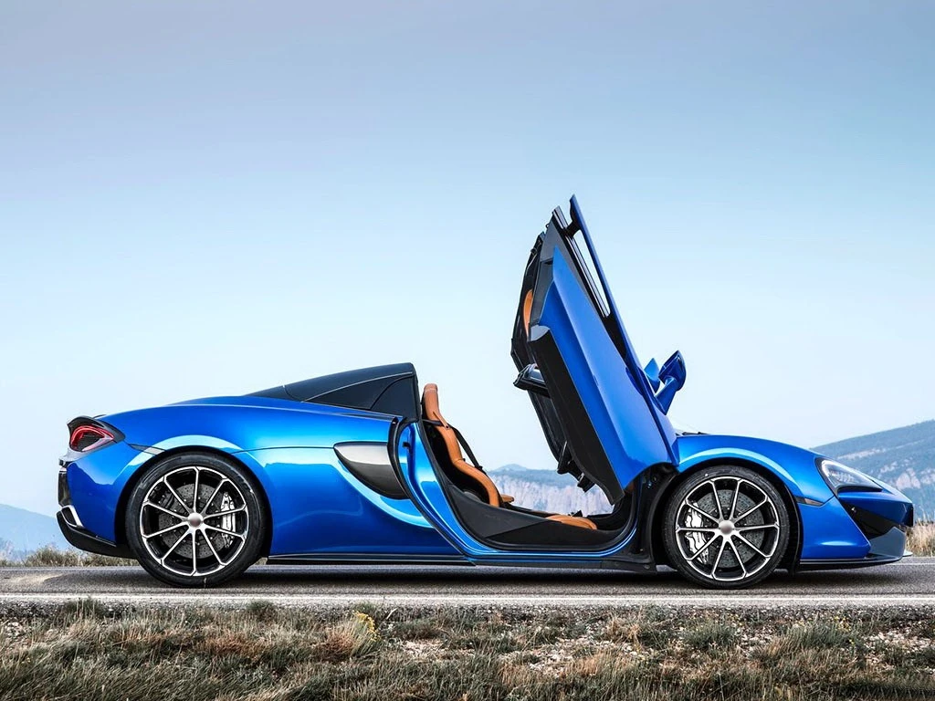 Trockene Kohlefaser-Seitentür schwellen Platten leiste für Mclaren 540 570s 570gt Coupé Spider Cabrio 2-Türer