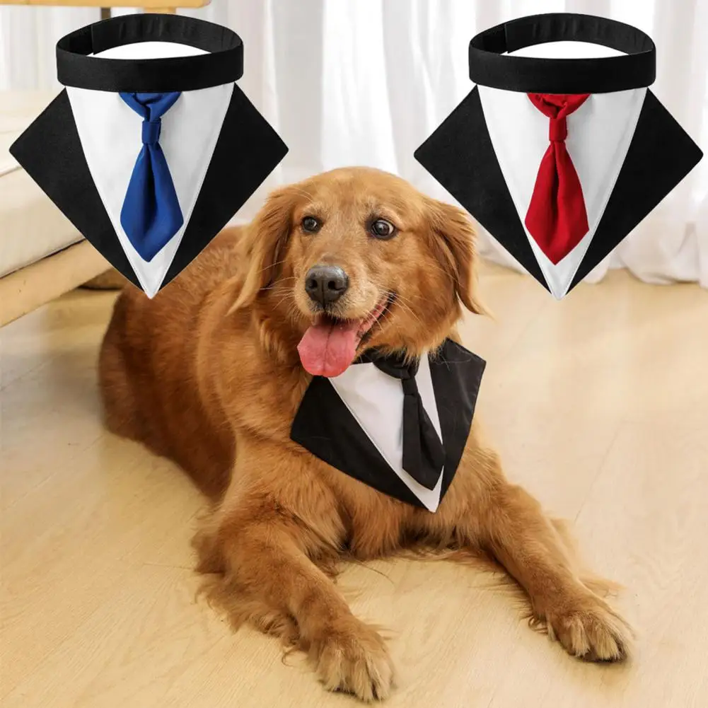 

Puppy Formal Tuxedo Collar，Dog Necktie，Adjustable Fasten Tape，Pet Saliva Bib，Pet Dog Suit Collar，Pet Accessories