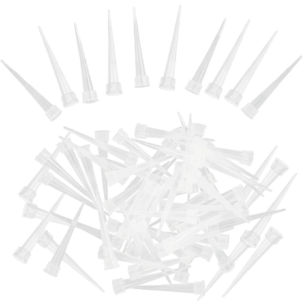 

50 Pcs Everlasting Flower Mud Stem Water Tubes Pointed Holder for Flowers Arrangements Floral Vase