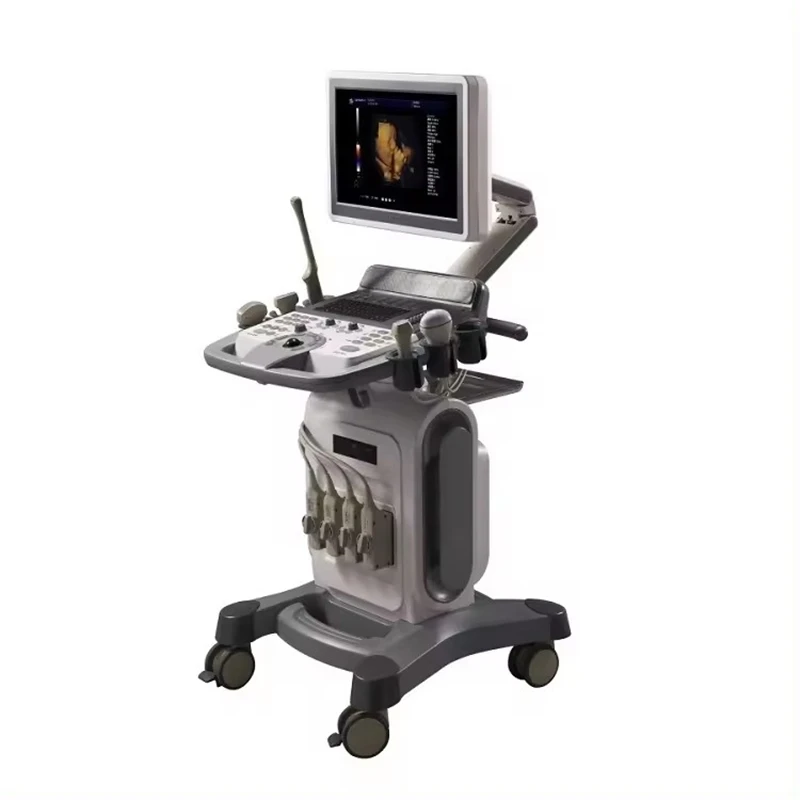 2D 3D 4D 15inch Led Screen Mobile Trolley Color Doppler Ultrasound Machine Diagnostic System