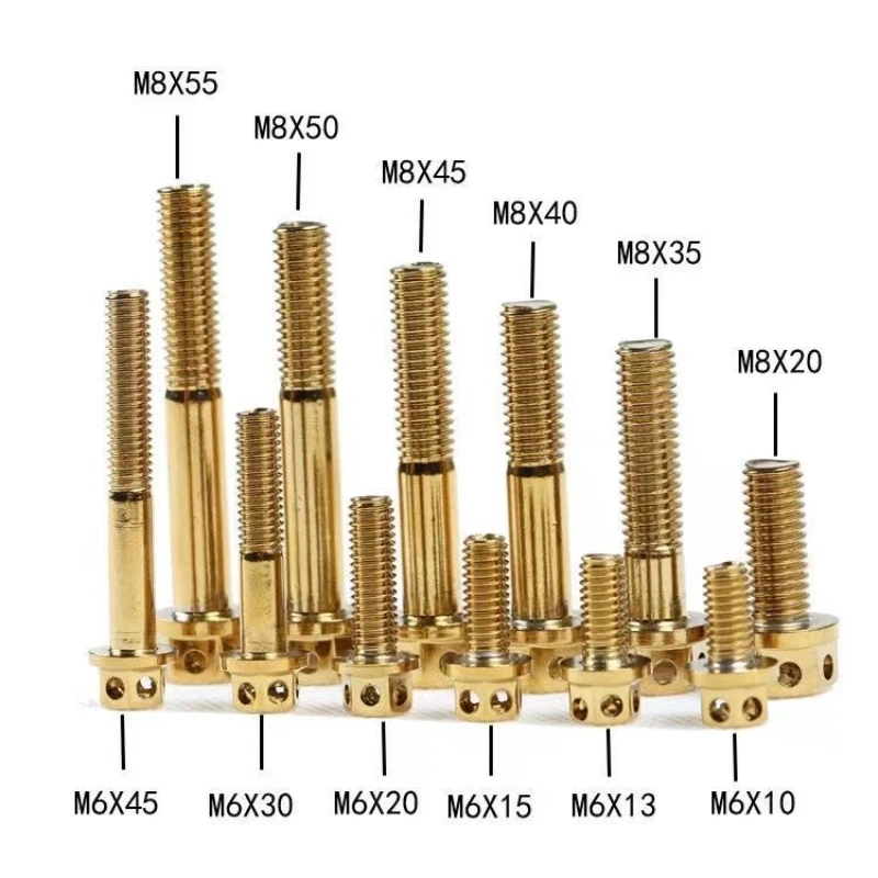 2/4PCS M6 M8 Titanium Bolt 10/15/20/25/30/35/40/45/50/60 Gold Hex Head Screws with Drilled Holes Titanium Screws Motorcycle