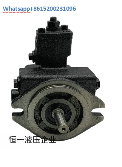 

Vane pump VPE-F20D-10 oil pump VPE -/F40D/F30D/F15D/C-10 9T 7T