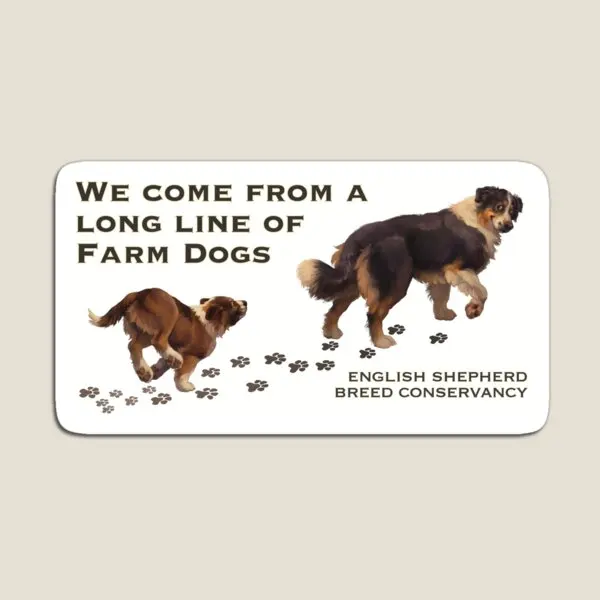 Englisch Schäferhund lange Linie von Farm Dogs Magnet für Kühlschrank Veranstalter bunte magnetische Kinder lustige Aufkleber Halter niedlich