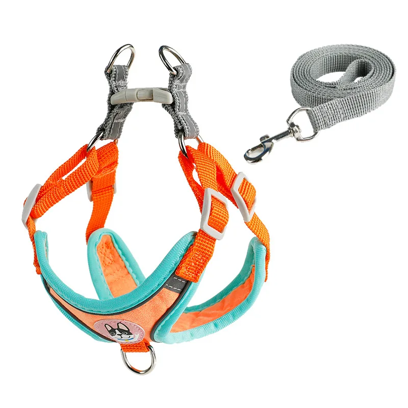 Thumbnail 3 - #39 Cheapest LED Dog Collars Deals You Can Get