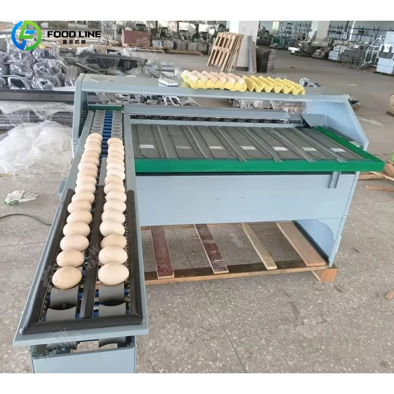 High Precision Industrial Stainless Steel Automatic Egg Weight Grading Sorting Machine For Poultry Egg Processing Plant custom