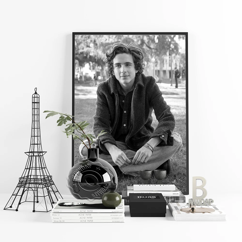 Timothée Chalamet Actor Poster Movie Tv Star Prints Wall Picture Fans Gift Canvas Painting Wall Art Room Home Decoration