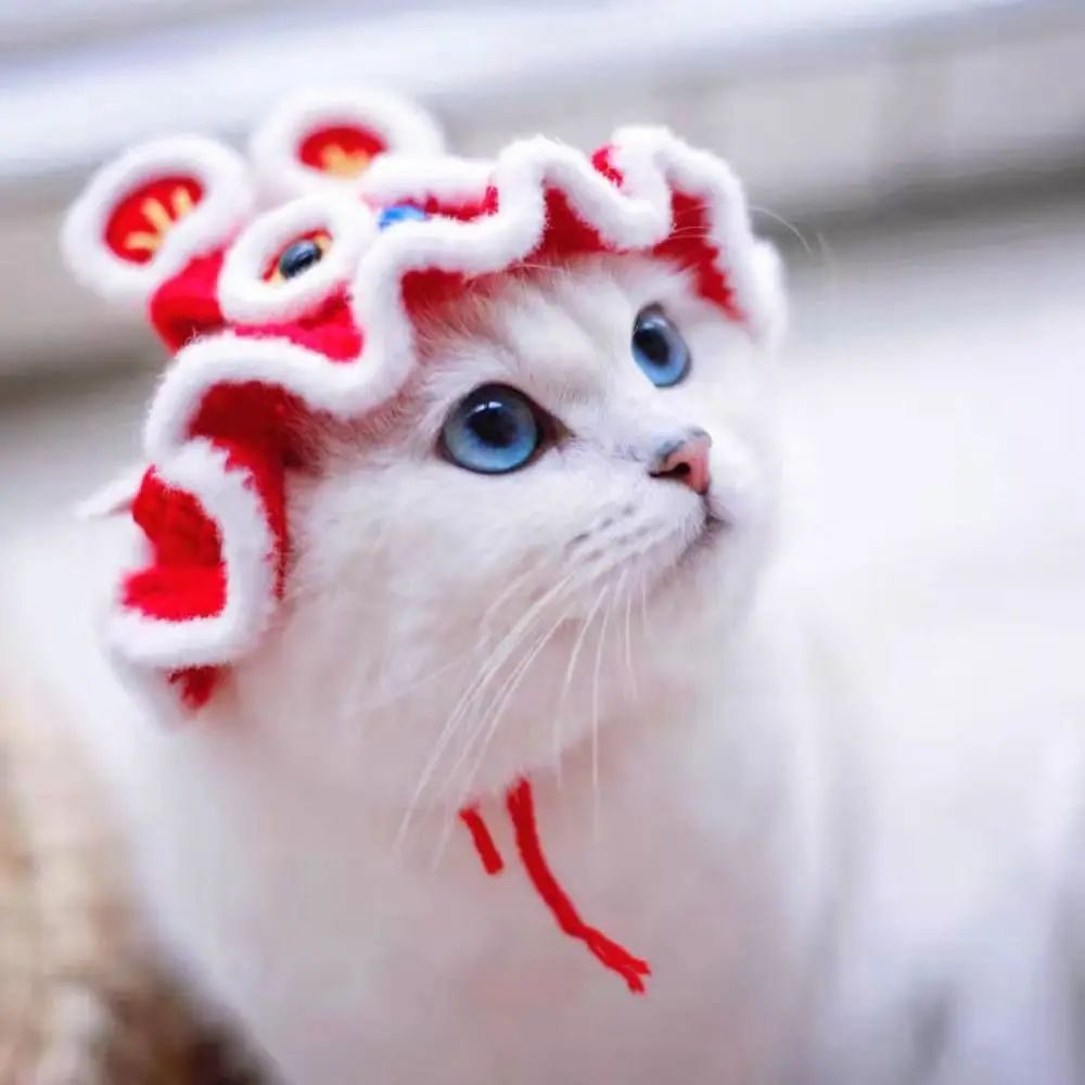 Cartoon Cute Handmade Elastic Warm Frog Hat Pet Cap for Party Photo Props Cat Hat