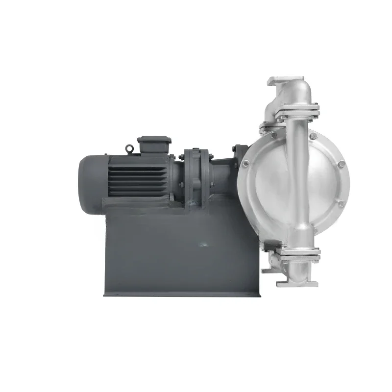 

Stainless steel high viscosity oil transfer pump electrical double diaphragm pump 220V 380V