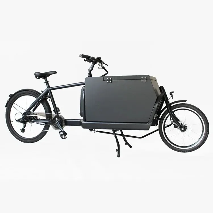 250W Electric Cargo Trike or Carry Children with Wood Box and Bafang Hub Motor KMC Chain Driver 7 Speeds Disc Brake
