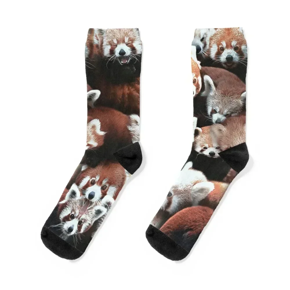 

Red Pandas Socks colored cute valentine gift ideas Lots Socks Women's Men's