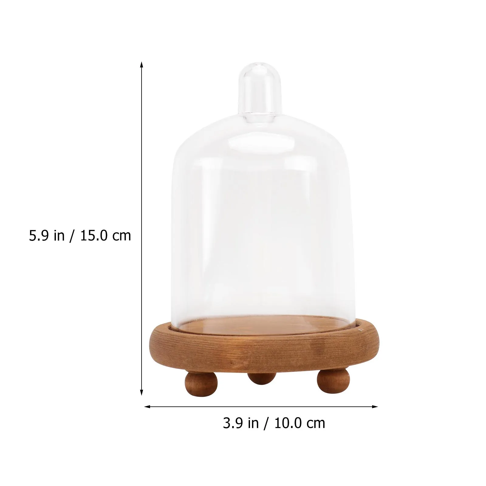 

Eternal Flower Cover Clear Dome PC Bell Jar Dustproof Display Container for Artificial Plants Flowers Decorations Gifts