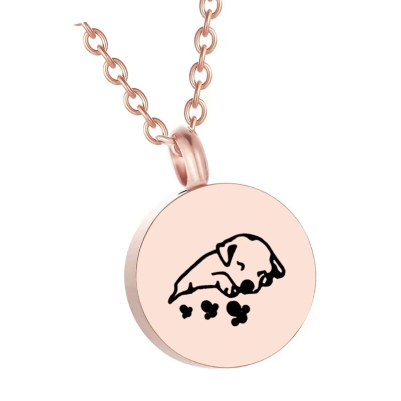 Collana con urna per animali domestici per cremazione delle ceneri, collana con bracciale, collo, gioielli, forniture