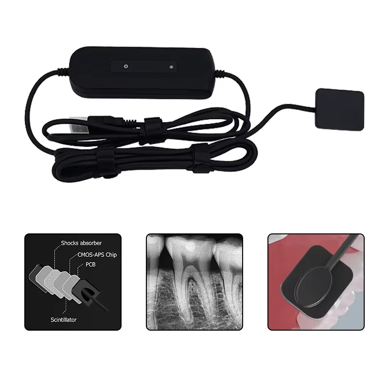 

Dental Sensor With Holder Faster/Recycle/Durable USB Dental X Ray Sensor Intra Oral Camera Digital RVG Sensor