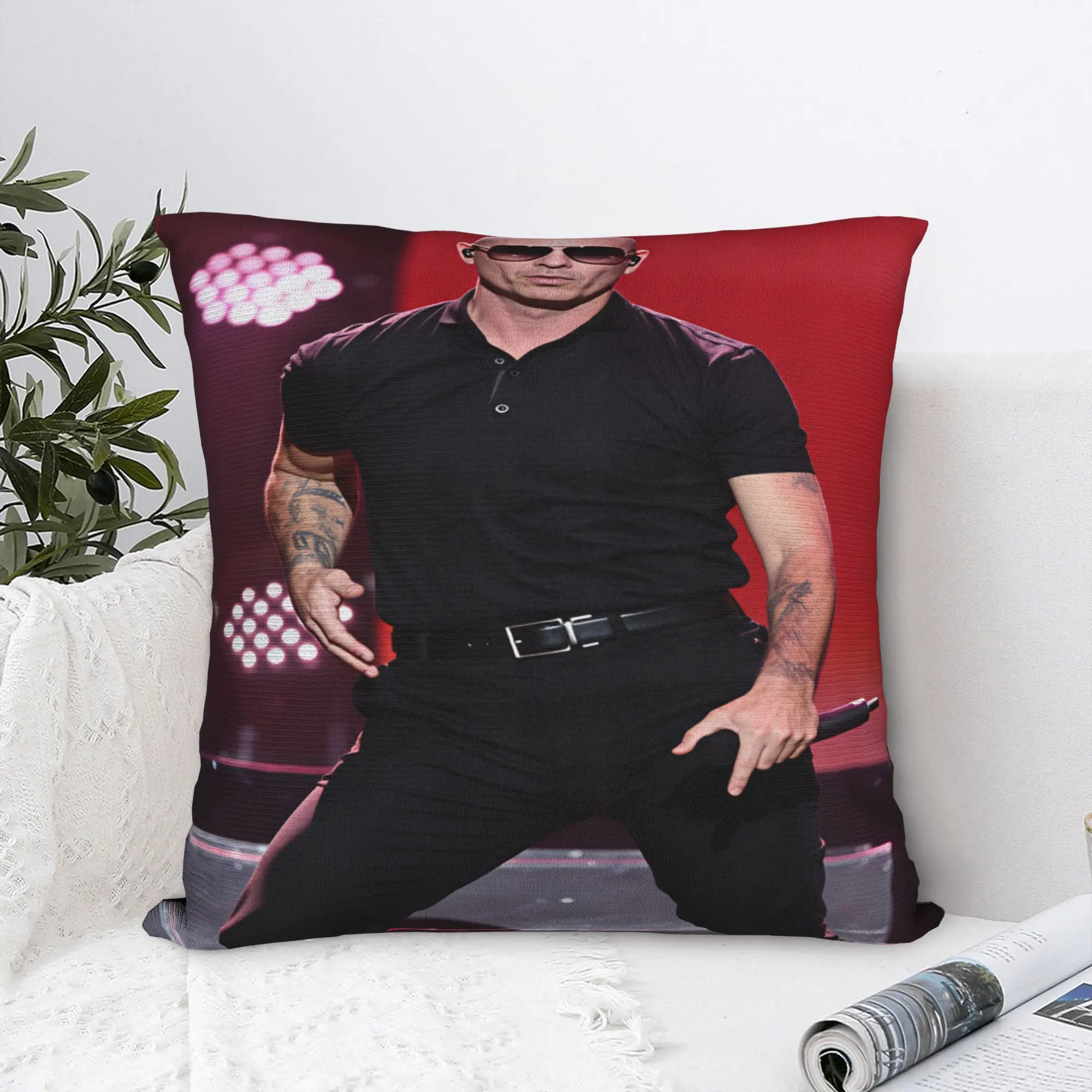 Pitbull Mr Worldwide Tour Pillowcases  Cute Funny Pillow Case For Living Room Chair Print Pillow Cover
